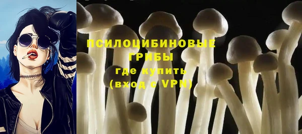 не бодяженный Алзамай