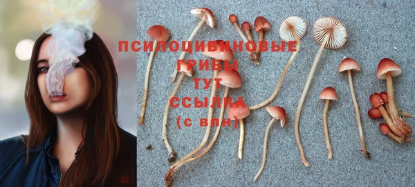 кокаин Алексеевка